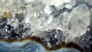 Ekoblogia: Genetycznie zmodyfikowane wirusy odzyskują metale 1