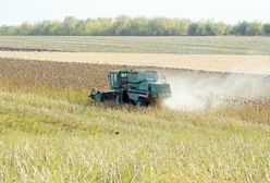 Rosjanie ukradli zboże z Ukrainy. Służby wytropiły, gdzie jest