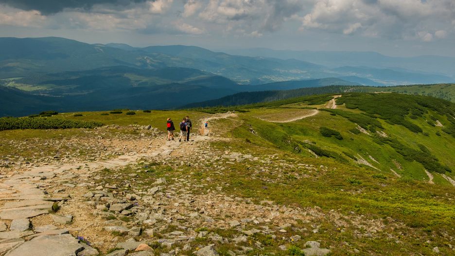 Przyrodnicy zaapelowali do turystów