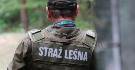 Grzybiarze, miejcie się na baczności. Ruszyła akcja "Jesień-21"