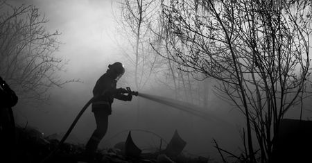 Dane zatrważają. Aż 4 razy częściej. Leśnicy biją na alarm