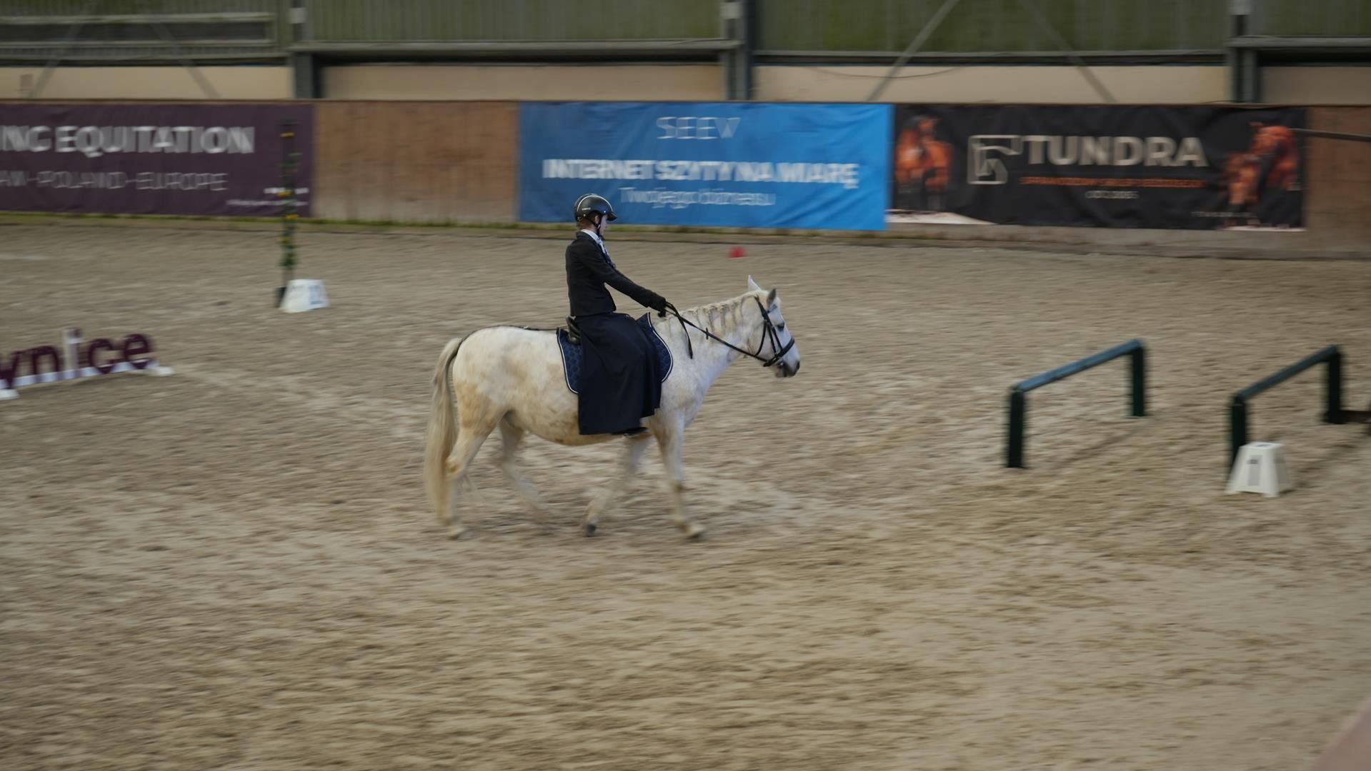 Mistrzostwa Polski Working Equitation 2025 we Wrocławiu