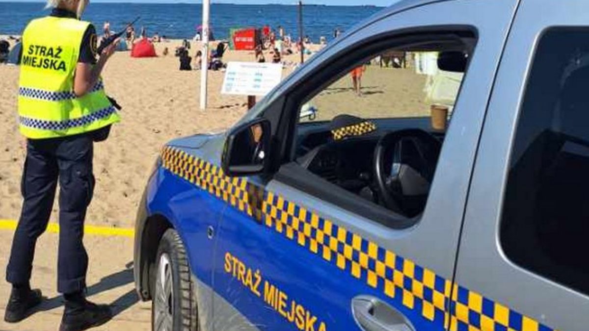 Karne kupony dla kierowców za złe parkowanie. Nowy pomysł Straży Miejskiej w Trójmieście