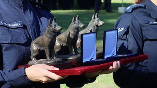 Białystok: Odznaczenie dla najlepszej drużyny przewodników psów patrolowo-tropiących