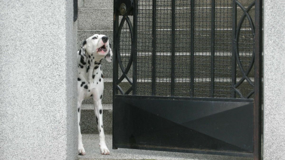 Psa można wliczyć w koszty prowadzenia działalności