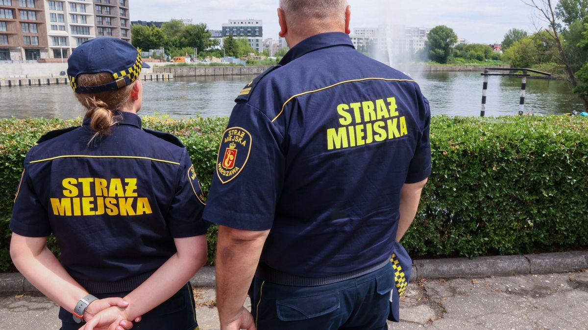 Strażnicy sprawdzają wpis do CEEB