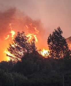 Kurorty w ogniu. Alarmujące raporty z Chorwacji i Portugalii