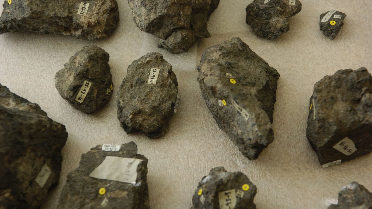 Skamieniałe odchody dinozaurów