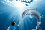 ''Mój przyjaciel delfin'' już na DVD!