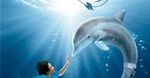 ''Mój przyjaciel delfin'' już na DVD!