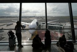 Przerażenie pasażerów United Airlines. Zwierzę wywołało panikę