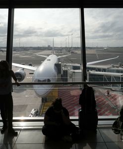 Przerażenie pasażerów United Airlines. Zwierzę wywołało panikę