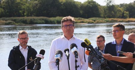Śnięte ryby na Odrze. Prezes Wód Polskich: "To koszt kilkunastu milionów złotych"