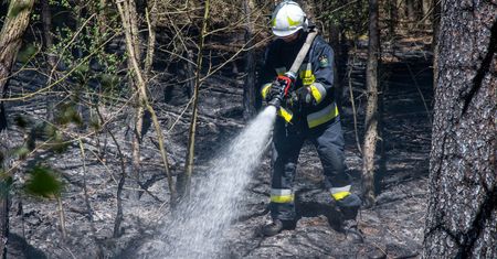 Zagrożenie pożarowe w lasach. MSWiA alarmuje