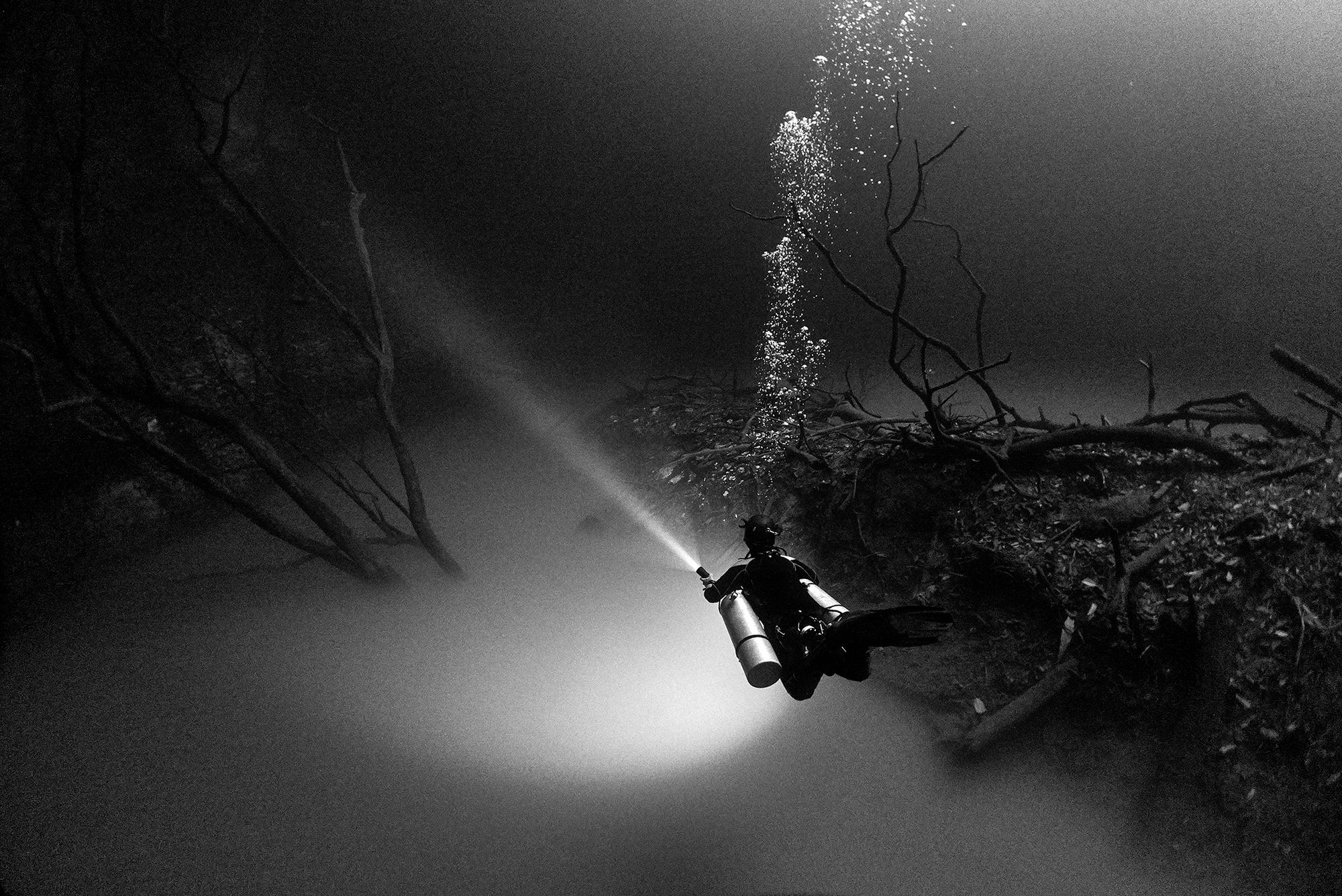 Piękno głębin oceanu pokazane w czerni i bieli 6