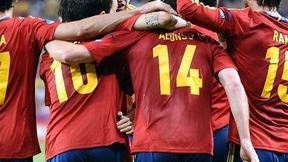 Hiszpania - Bośnia i Hercegowina: wygrana Hiszpanów, głupota Spahicia