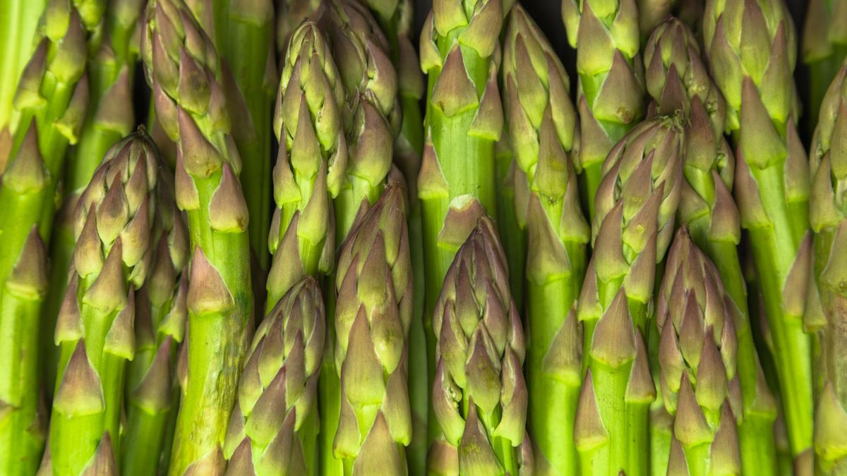 Czy można jeść surowe szparagi?