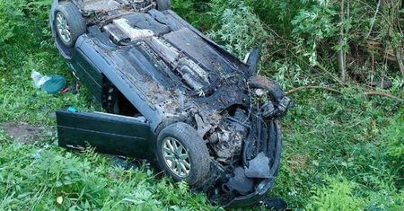 Tragiczne zderzenie z łosiem. Kierowca nie miał szans