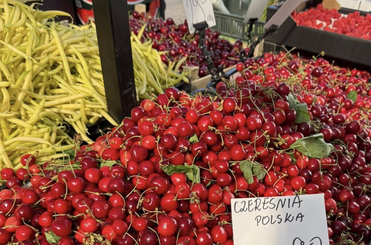 Polskie czereśnie w sklepie. Oto ich cena