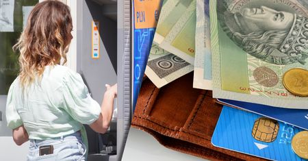 W "państwie bez mózgu" polityka oparta na danych to smutny żart [OPINIA]
