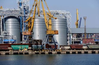 Polski port w Ukrainie? Niemiecka prasa o pomyśle wiceministra. "Kontrowersyjny"