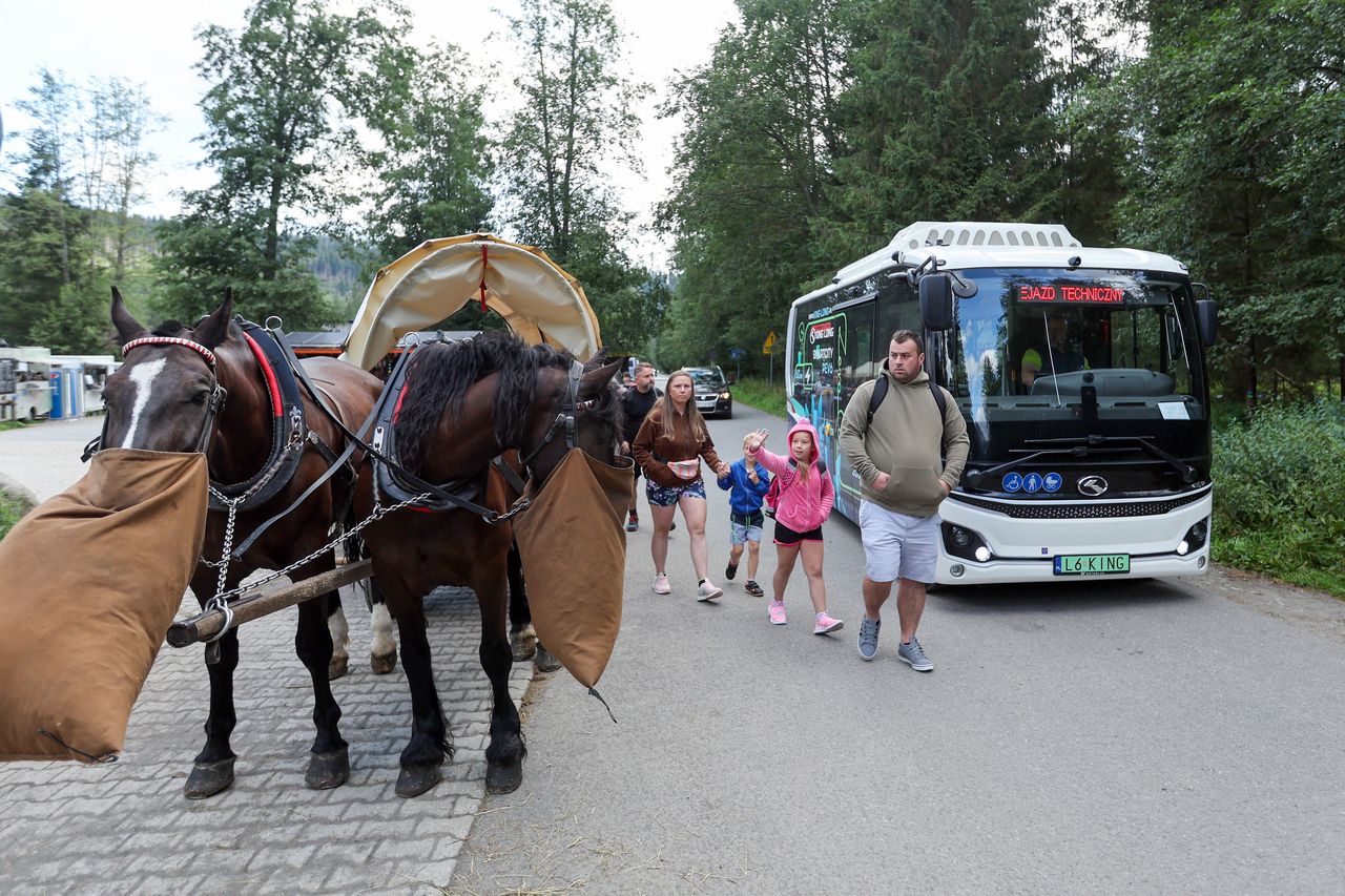 Elektryczne busy już jeżdżą do Morskiego Oka. Oto ile kosztuje bilet