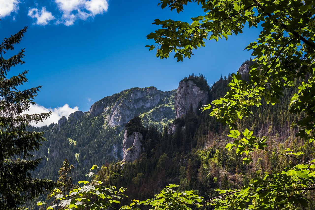 Atrakcje Doliny Kościeliskiej. Tatry dla każdego