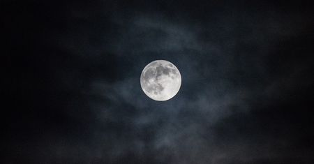 Twórcy Pale Moon zamierzają stworzyć nową przeglądarkę