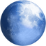 Pale Moon icon