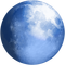 Pale Moon icon