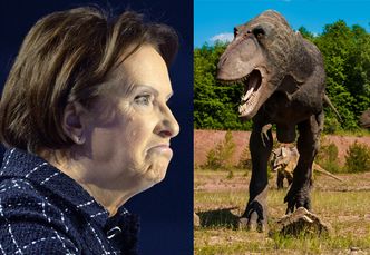 Ewa Kopacz kreuje nową historię dziejów Ziemi: "Ludzie rzucali kamieniami w dinozaury"