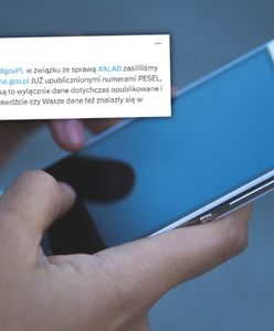 Zastrzeżenie PESEL. Instrukcja. Polacy chcą chronić dane po wycieku ALAB