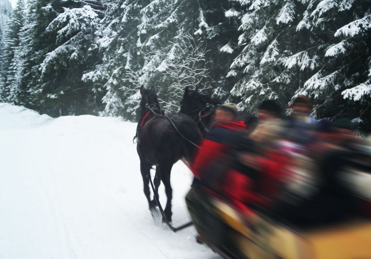 Kuligi są zimą popularną atrakcją w polskich górach