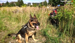 Częstochowa. Czuły nos czworonoga, wytropił motocykle