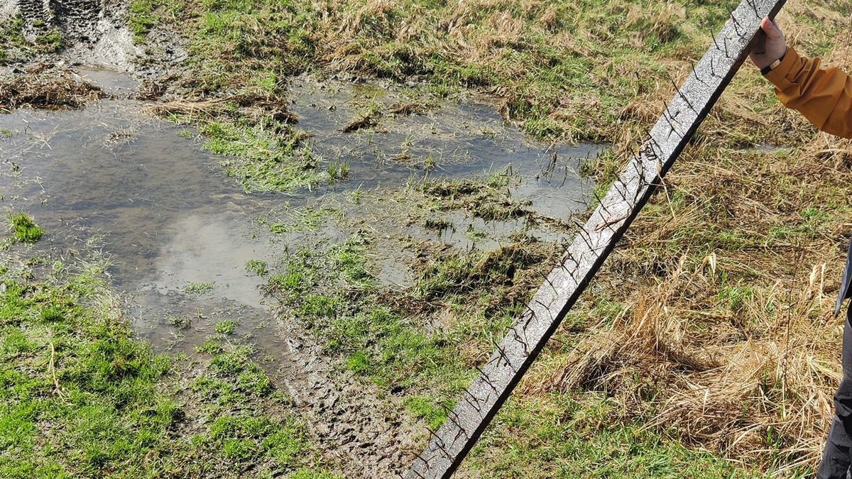 Pułapka na pojazdy w postaci deski z gwoździami. Wyjaśniamy, czy to legalne na prywatnym terenie. 