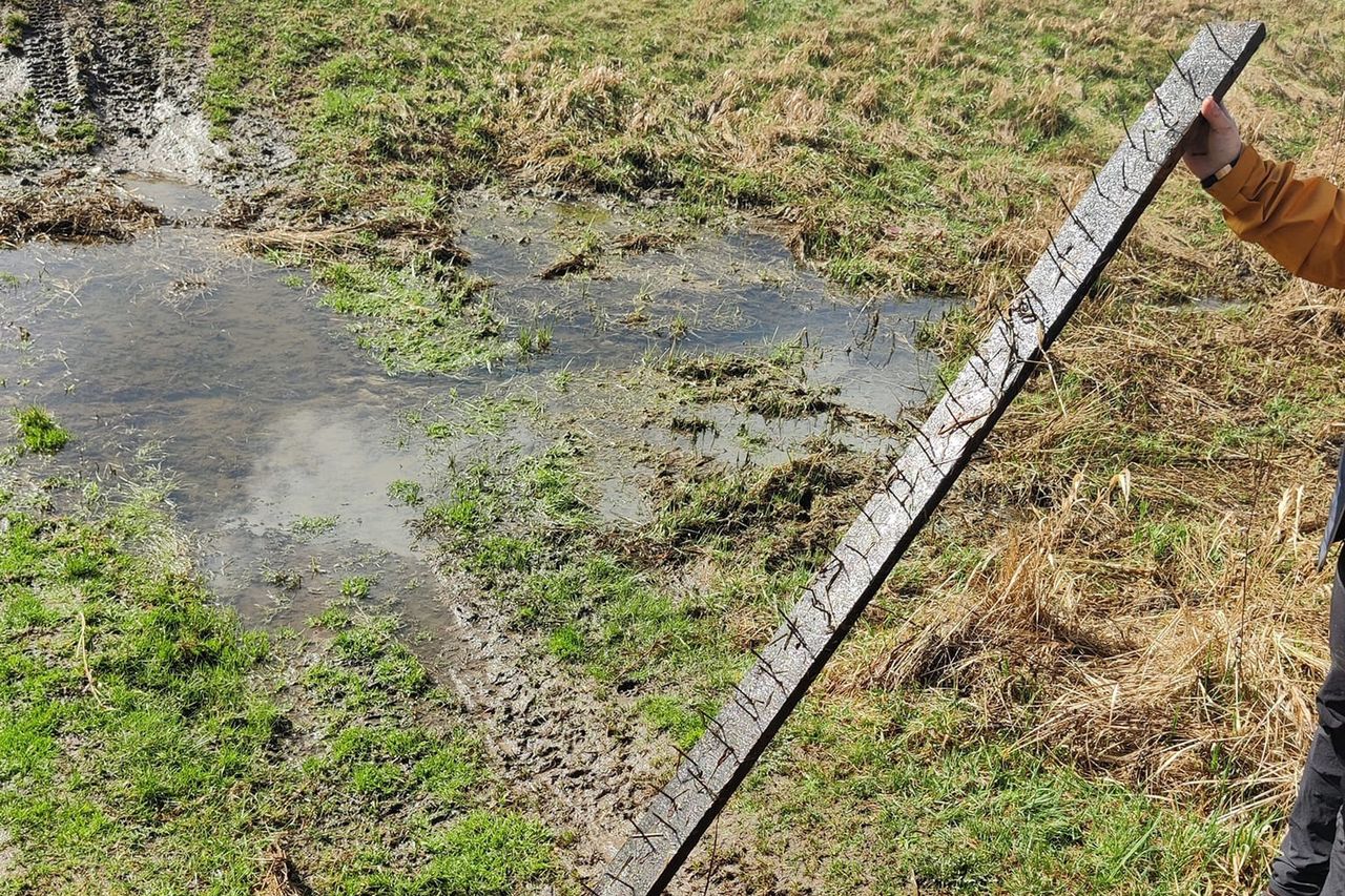 Pułapka na pojazdy w postaci deski z gwoździami. Wyjaśniamy, czy to legalne na prywatnym terenie