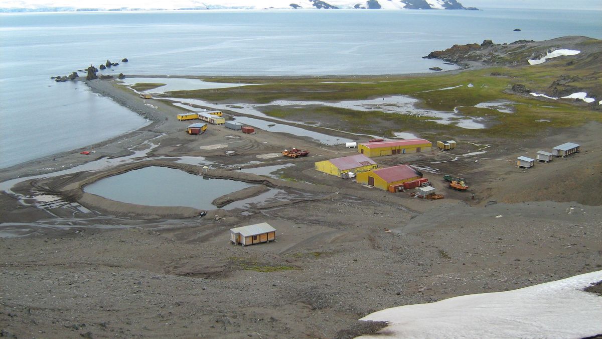 Polska stacja Antarktyczna