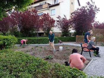 Jak przygotować ogród na lato? Praktyczny kalendarz prac ogrodowych na czerwiec, lipiec i sierpień