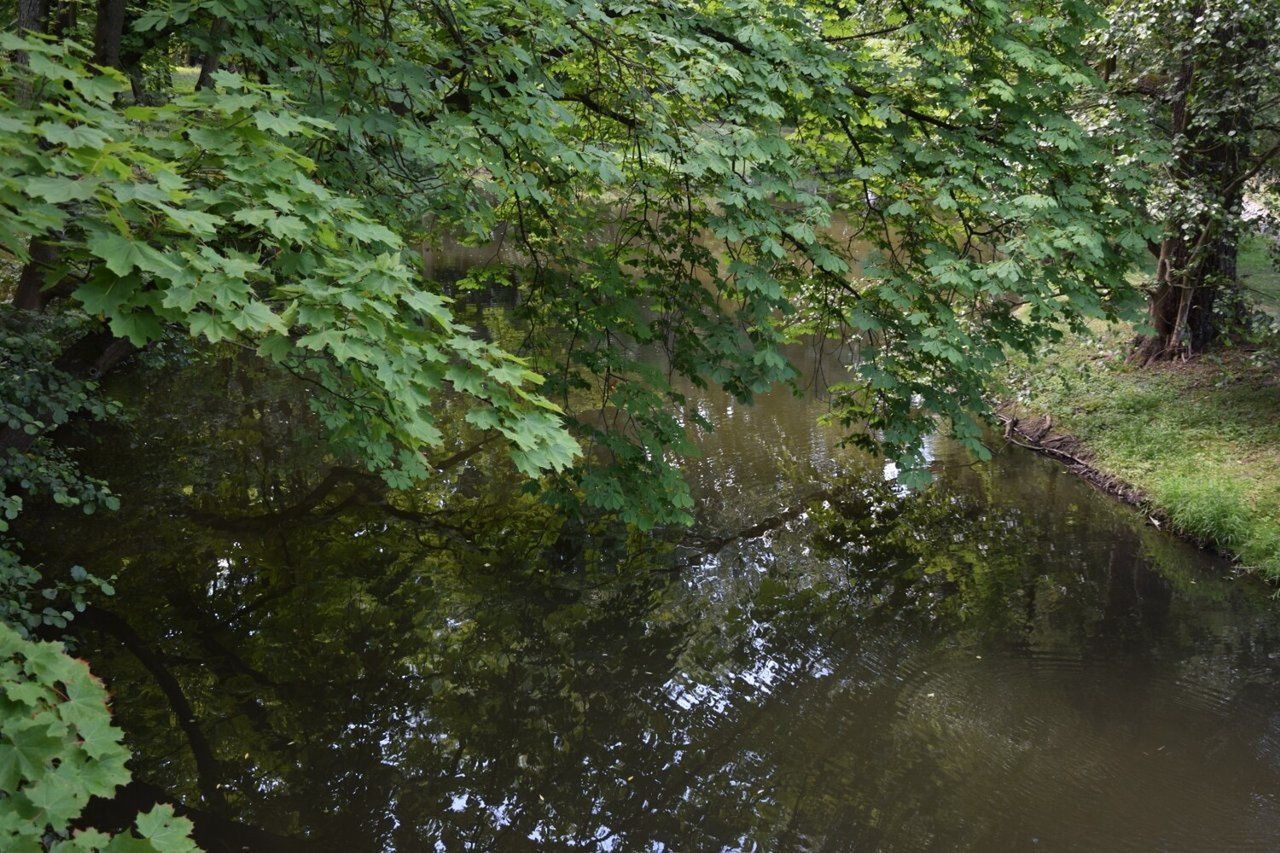 Turystyczne skarby Skierniewic. To te miejsca odwiedzają turyści