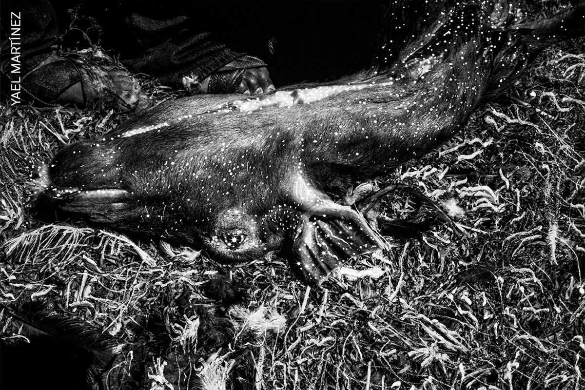 World Press Photo 2022: Poznaj najlepszych fotografów różnych kontynentów 90