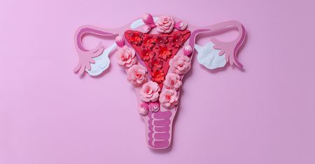 Macica – budowa, funkcje, schorzenia i leczenie