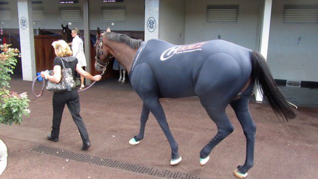 Po co pakować konia w coś takiego? 1