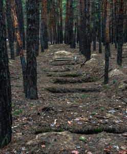 Potworne nagrania. Rosjanie pokazują egzekucje