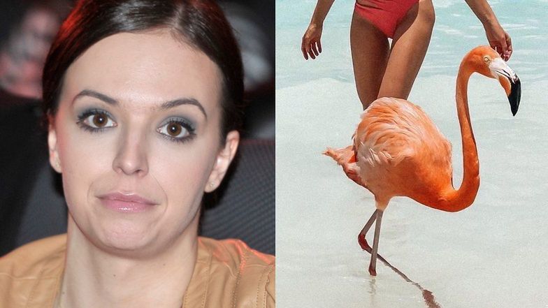 Anna Wendzikowska krytykowana za zdjęcia z flamingami