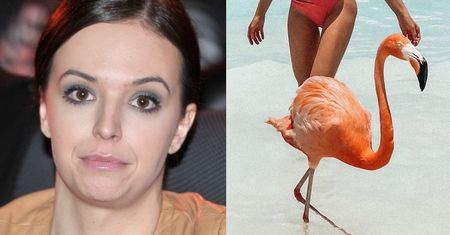 Anna Wendzikowska krytykowana za fotki z flamingami: "One są tam WIĘZIONE"