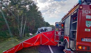 Wypadek autobusu w Zielonej Górze. Nowe informacje od służb