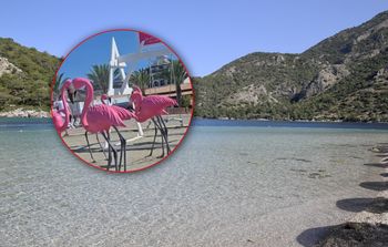 Polka chciała zrobić zdjęcie na plaży. Nagle zjawił się strażnik