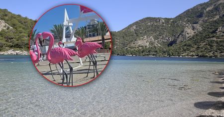 Polka chciała zrobić zdjęcie na plaży. Nagle zjawił się strażnik