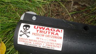 Zaczęła się deratyzacja w koszalińskim Parku ABC. Mieszkańcy są zaniepokojeni