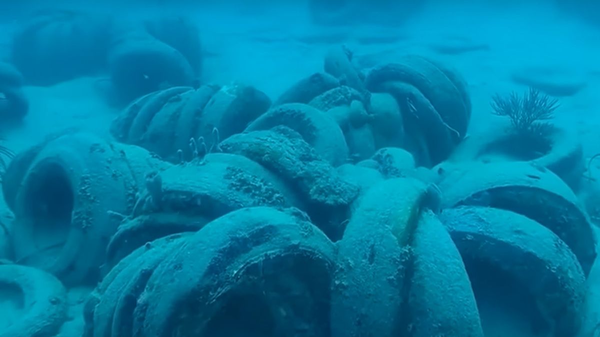 Tak wygląda Rafa Osborne'a